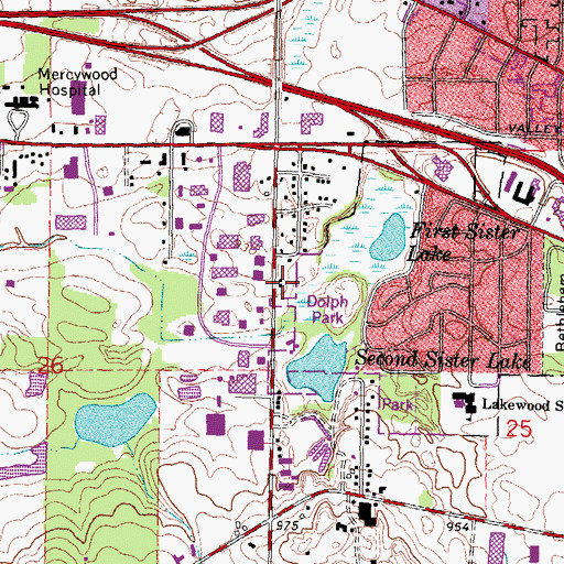 Topographic Map of Dolph Park, MI