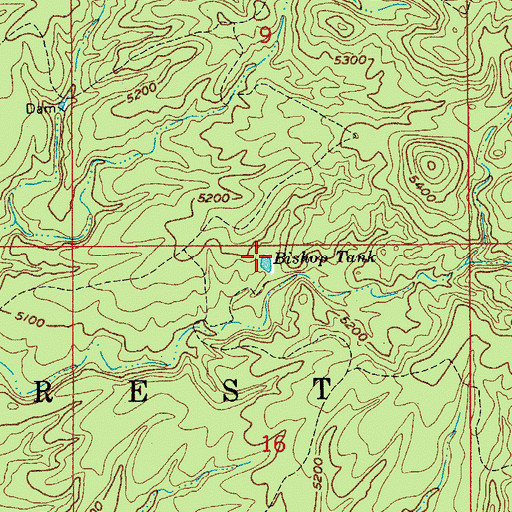 Topographic Map of Bishop Tank, AZ