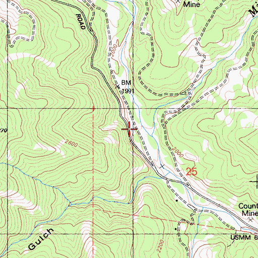 Topographic Map of Mill Creek, CA