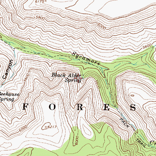 Topographic Map of Black Alder Spring, AZ