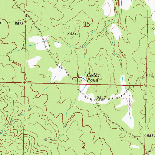 Topographic Map of Cedar Pond, AZ