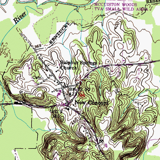 Topographic Map of New Concord Fire Station, KY