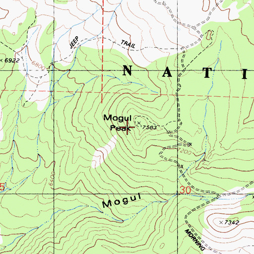 Topographic Map of Mogul Peak, CA