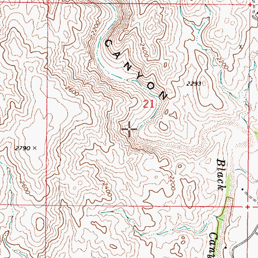 Topographic Map of Black Canyon, AZ
