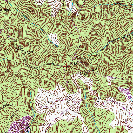 Topographic Map of Pongo Volunteer Fire Department, KY