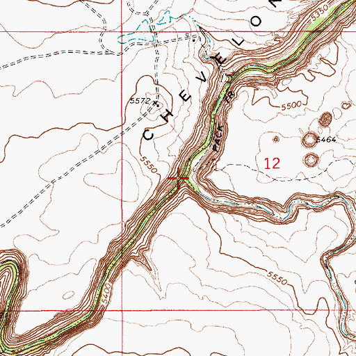 Topographic Map of Black Canyon, AZ