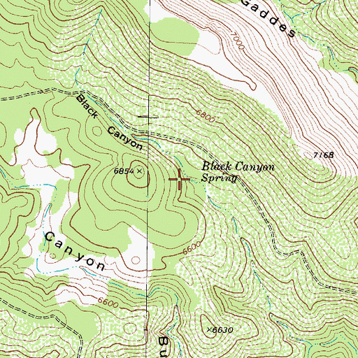 Topographic Map of Black Canyon Spring, AZ