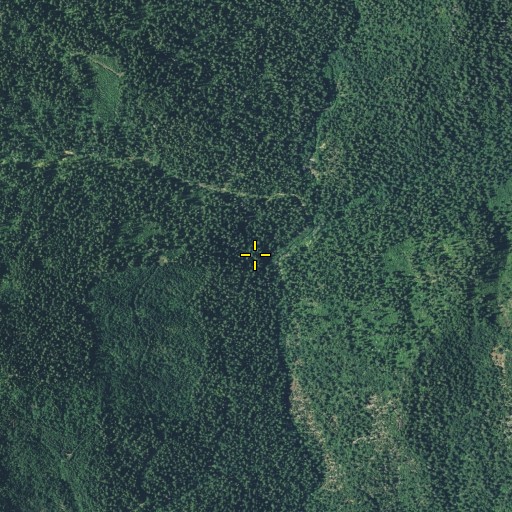 Aerial/Satellite Image of Morgan Creek, CA