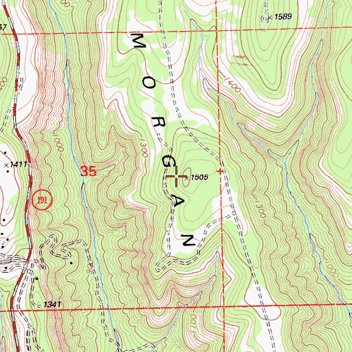 Topographic Map of Morgan Ridge, CA