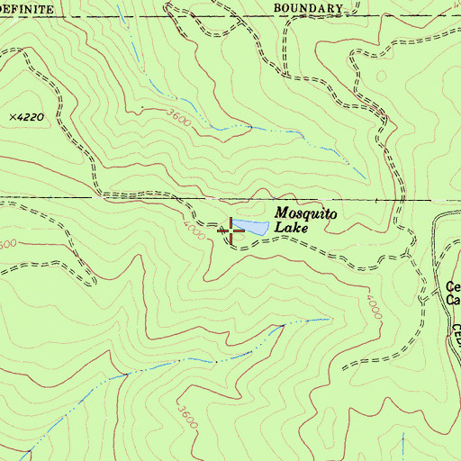 Topographic Map of Mosquito Lake, CA