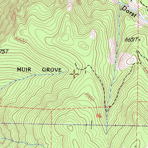 Topographic Map of Muir Grove, CA