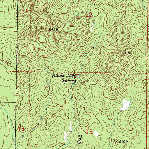 Topographic Map of Black Jack Spring, AZ