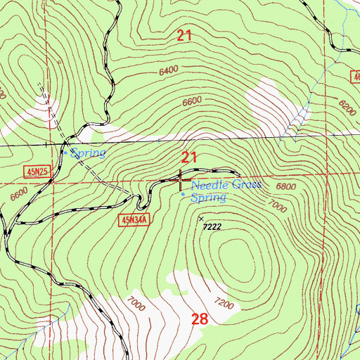 Topographic Map of Needle Grass Spring, CA
