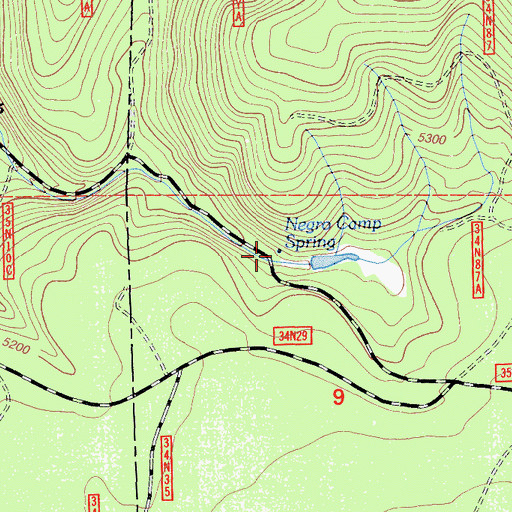 Topographic Map of Negro Camp Spring, CA