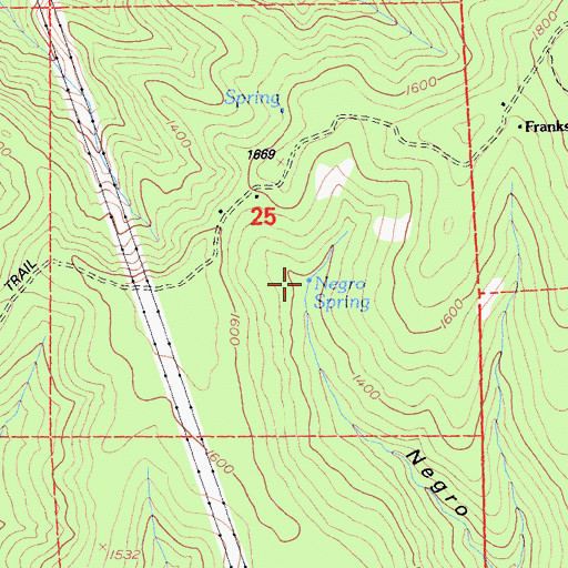 Topographic Map of Negro Spring, CA