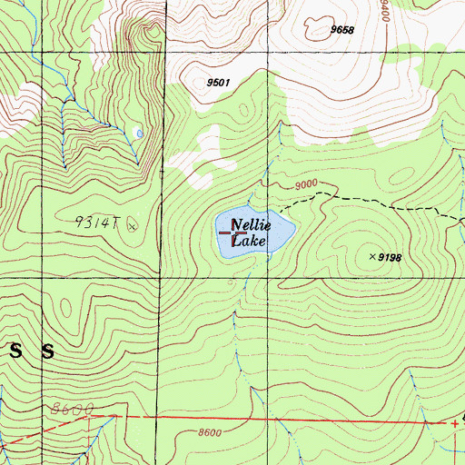 Topographic Map of Nellie Lake, CA
