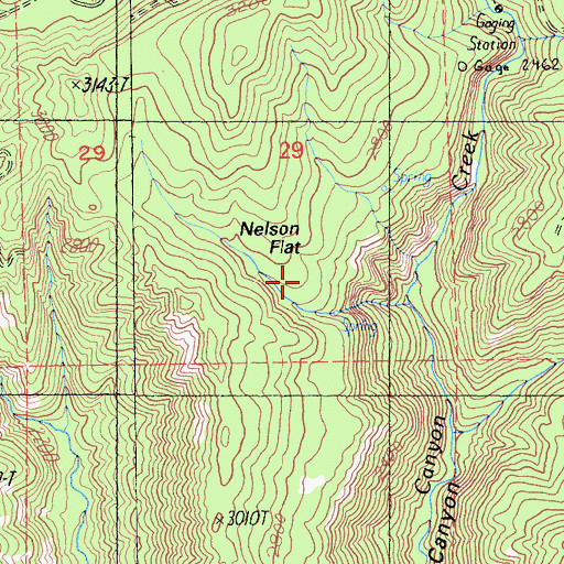 Topographic Map of Nelson Flat, CA