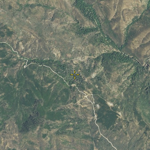 Aerial/Satellite Image of Newman Springs, CA