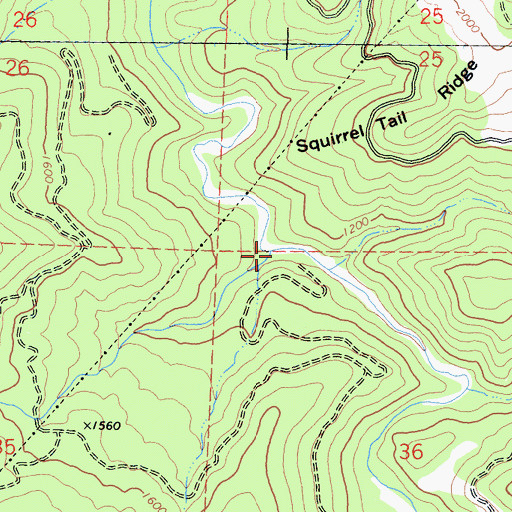 Topographic Map of Noisy Creek, CA