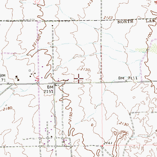 Topographic Map of University Medical Center of Southern Nevada Craig Quick Care, NV