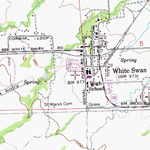 Topographic Map of White Swan Ambulance, WA