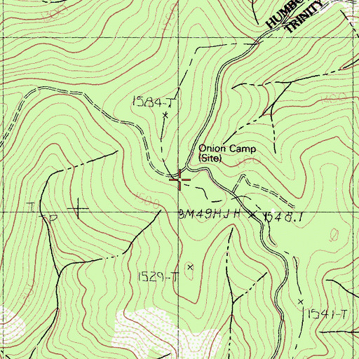 Topographic Map of Onion Camp, CA
