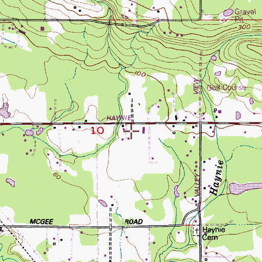 Topographic Map of North Whatcom Fire and Rescue Station 65 Haynie, WA
