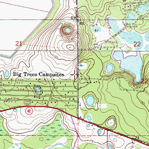 Topographic Map of Marion County Fire Rescue South Forest Station 6, FL