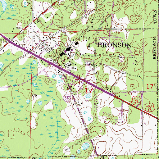 Topographic Map of Bronson Fire and Rescue, FL