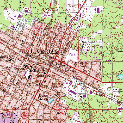 Topographic Map of Live Oak Fire Department, FL