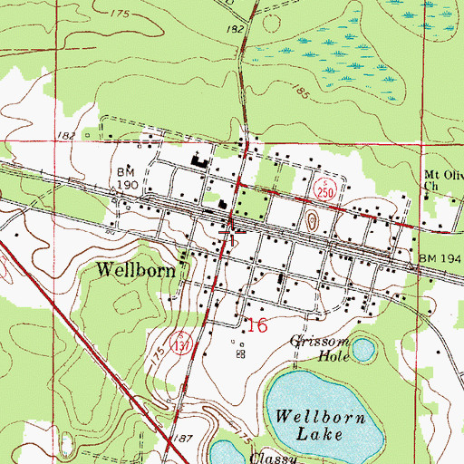 Topographic Map of Wellborn Volunteer Fire Department Station 1, FL