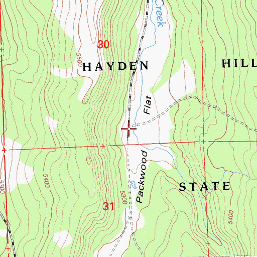 Topographic Map of Packwood Flat, CA