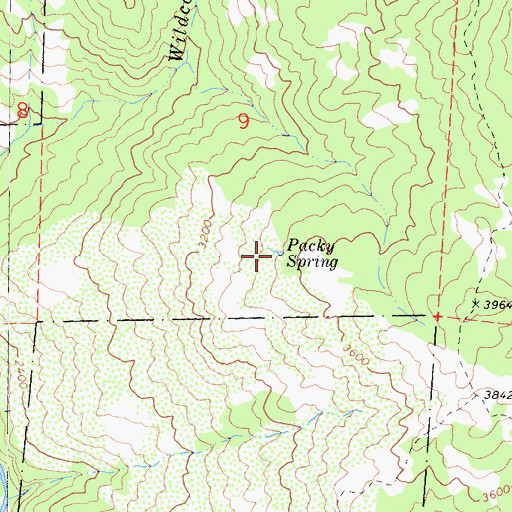 Topographic Map of Packy Spring, CA