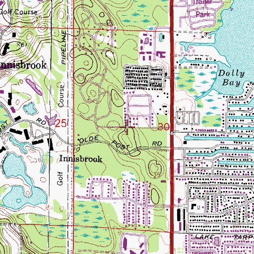 Topographic Map of Palm Harbor Fire and Rescue Station 67, FL