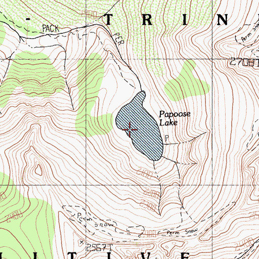 Topographic Map of Papoose Lake, CA