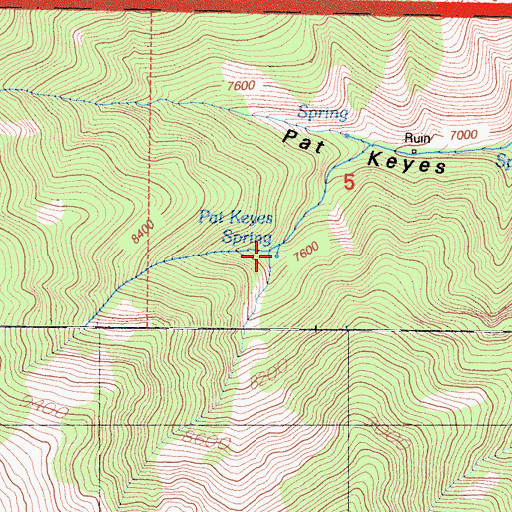 Topographic Map of Pat Keyes Spring, CA