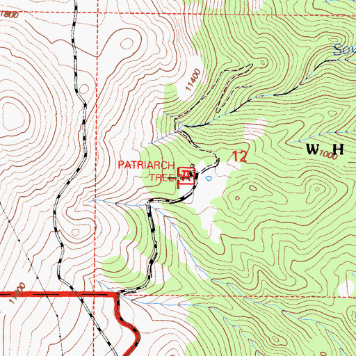Topographic Map of Patriarch Tree, CA