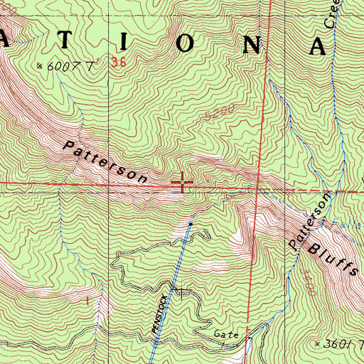 Topographic Map of Patterson Bluffs, CA