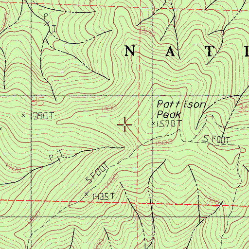 Topographic Map of Pattison Peak, CA