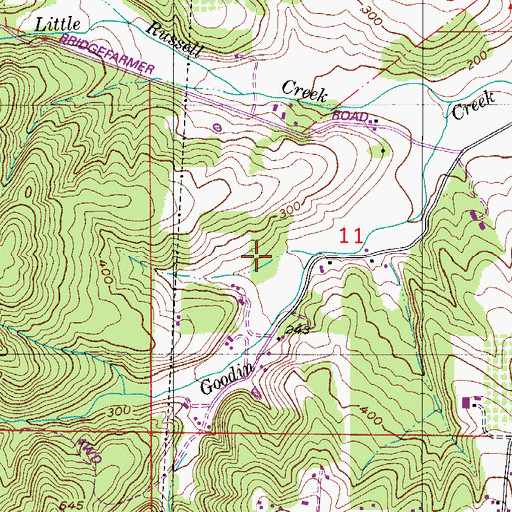 Topographic Map of Goodin Creek Airport, OR