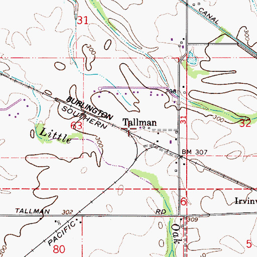 Topographic Map of Tallman Airport, OR