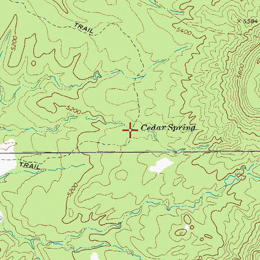 Topographic Map of Cedar Spring, AZ