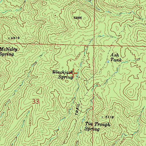 Topographic Map of Blackjack Spring, AZ
