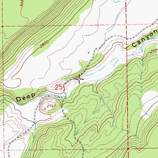 Topographic Map of The Citadel Airport, OR