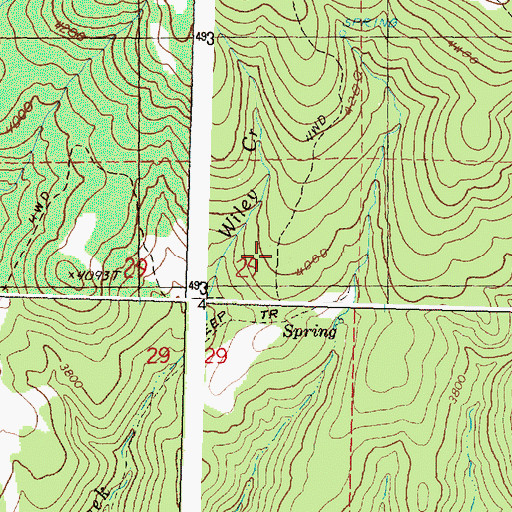 Topographic Map of Wiley Creek Airport, OR