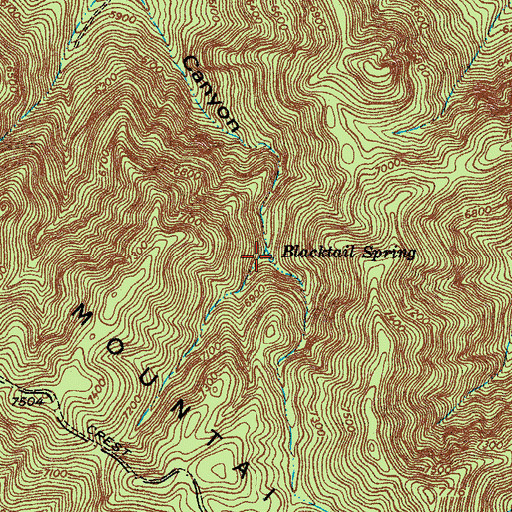 Topographic Map of Blacktail Spring, AZ