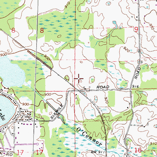Topographic Map of Links at Whitmore Lake Golf Course, MI