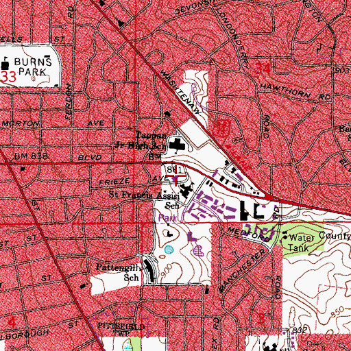 Topographic Map of Saint Francis of Assisi Church, MI