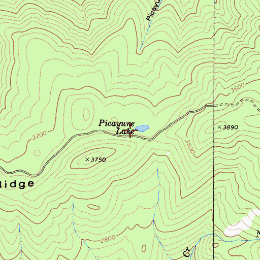 Topographic Map of Picayune Lake, CA