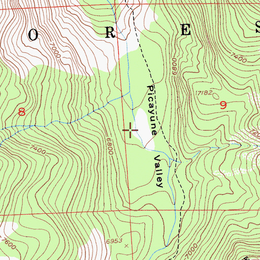 Topographic Map of Picayune Valley, CA